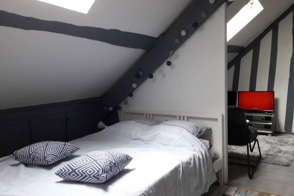 Loft Luxe Montargis: Central Haven with Bikes & River Views Exterior photo