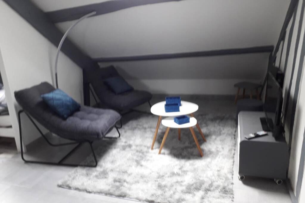 Loft Luxe Montargis: Central Haven with Bikes & River Views Exterior photo